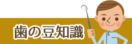 歯の豆知識